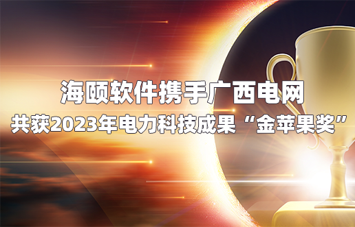 南宫NG28软件携手广西电网共获2023年电